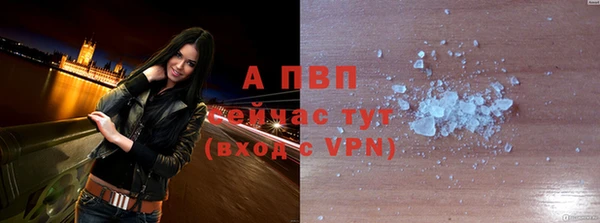 сатива Бронницы