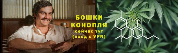 соль ск Бородино