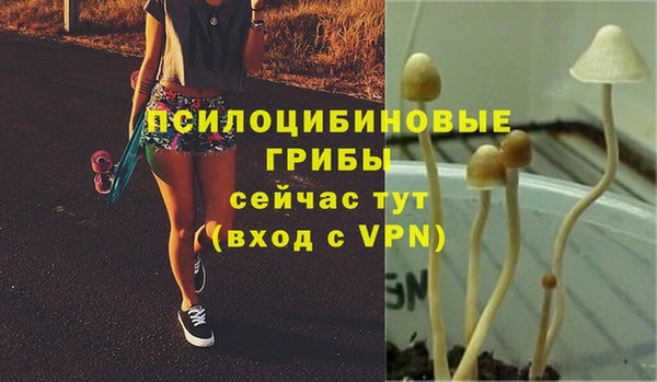 сатива Бронницы
