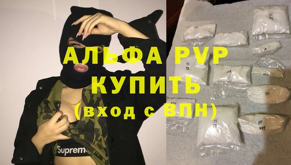 соль ск Бородино